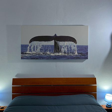 Casa Vacanze Oceano Livorno Eksteriør billede